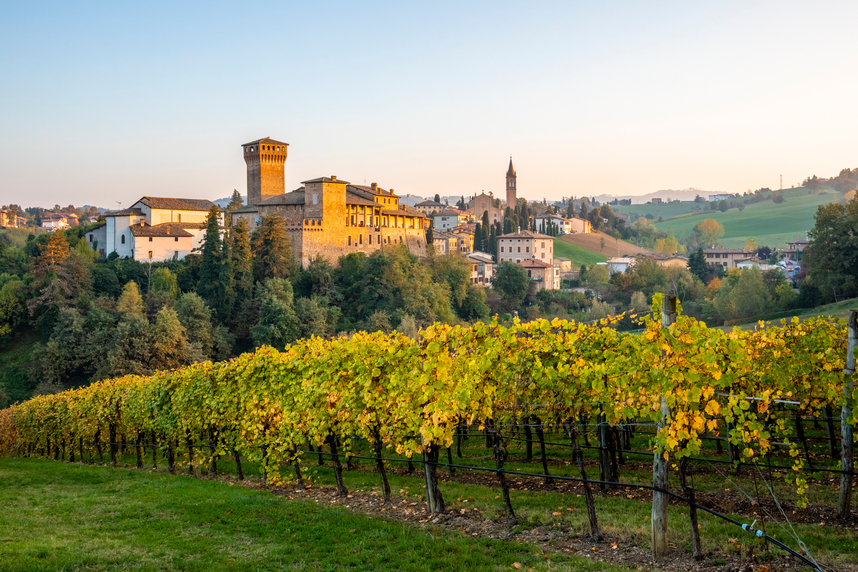 Wines of Emilia-Romagna: history, grape varieties and pairings to try